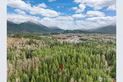 56115 Kernahan Road E, Ashford, WA 98304 - Photo 25