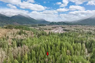 56115 Kernahan Rd E, Ashford, WA 98304 - Photo 25