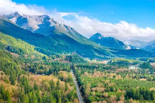 56115 Kernahan Rd E, Ashford, WA 98304 - Photo 27