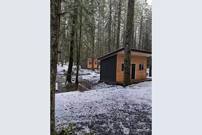 56115 Kernahan Road E, Ashford, WA 98304 - Photo 33