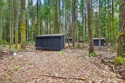 56115 Kernahan Road E, Ashford, WA 98304 - Photo 17