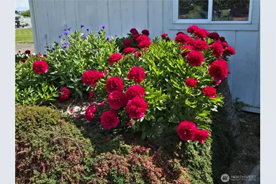 52 Libby Street, Sequim, WA 98382 - Photo 31