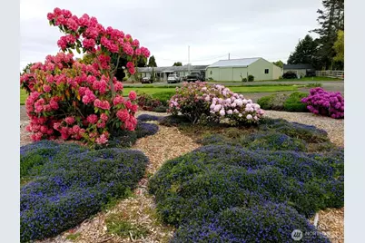 52 Libby Street, Sequim, WA 98382 - Photo 5