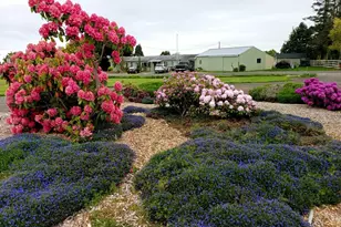 52 Libby St, Sequim, WA 98382 - Photo 5