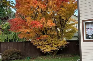 2915 Stirling Ct SE, Olympia, WA 98501 - Photo 27