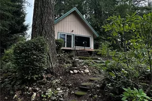 271 Salmon St, Brinnon, WA 98320 - Photo 3