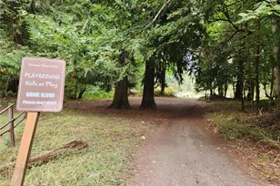 271 Salmon St, Brinnon, WA 98320 - Photo 21