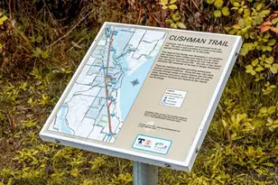 10339 Driftwood Ave, Gig Harbor, WA 98332 - Photo 31