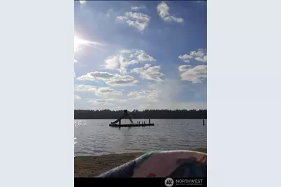 18417 Blue Hills Loop SE, Yelm, WA 98597 - Photo 17