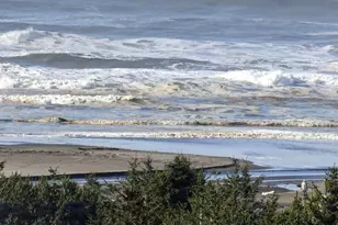 2815 Willows Rd, Seaview, WA 98644 - Photo 21