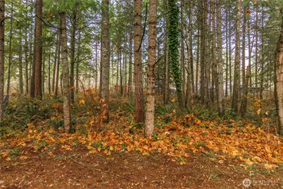14205 205th Street Ct E, Graham, WA 98338 - Photo 27