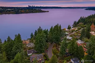 10001 SE 25th St, Bellevue, WA 98004 - Photo 29