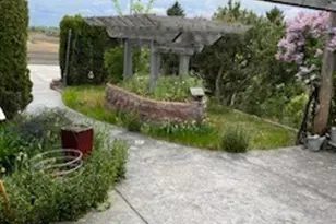 411 SW College Ave, Wilbur, WA 99185 - Photo 31