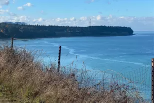 1323 S McDonald St, Port Angeles, WA 98363 - Photo 3