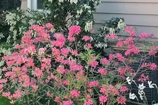 130 Dice Pl, Walla Walla, WA 99362 - Photo 37