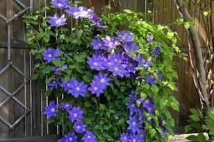 130 Dice Pl, Walla Walla, WA 99362 - Photo 39