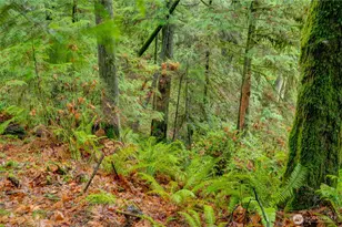 2909 144th St NW, Gig Harbor, WA 98332 - Photo 7