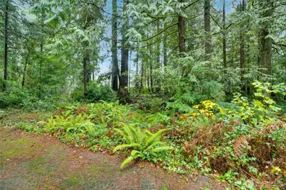 2909 144th Street NW, Gig Harbor, WA 98332 - Photo 13