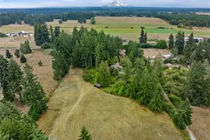 29622 48th Ave S, Roy, WA 98580 - Photo 37