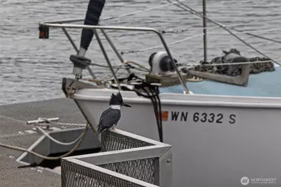 241 Warbass Way #A202, Friday Harbor, WA 98250 - Photo 29