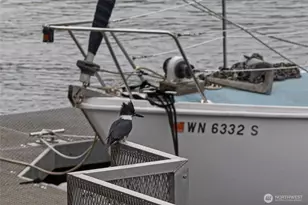 241 Warbass Way, Friday Harbor, WA 98250 - Photo 29