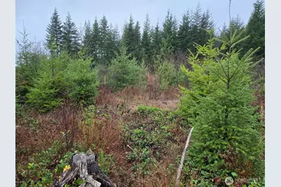 0 Nka Bowes Road N, Hoquiam, WA 98550 - Photo 15