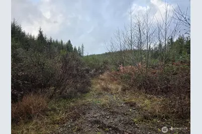 0 Nka Bowes Road N, Hoquiam, WA 98550 - Photo 9