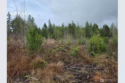 0 Nka Bowes Road N, Hoquiam, WA 98550 - Photo 11