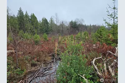 0 Nka Bowes Road N, Hoquiam, WA 98550 - Photo 13