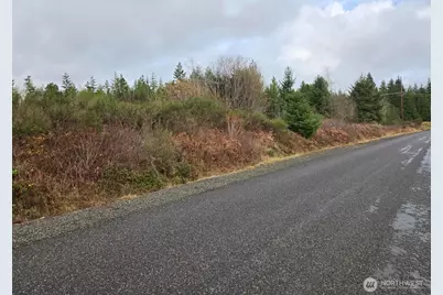 0 Nka Bowes Road N, Hoquiam, WA 98550 - Photo 7