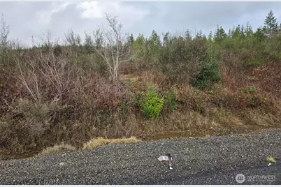 0 Nka Bowes Road N, Hoquiam, WA 98550 - Photo 17
