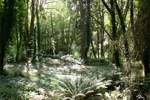 6724 SE Sedgwick Rd, Port Orchard, WA 98366 - Photo 13