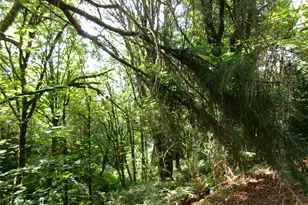 6724 SE Sedgwick Rd, Port Orchard, WA 98366 - Photo 9