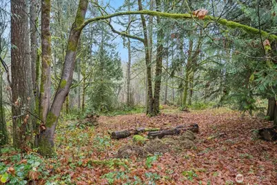 1704 186th Avenue NW, Lakebay, WA 98349 - Photo 5