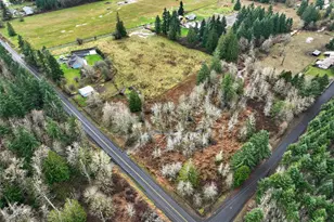 222 Oyler Rd, Ethel, WA 98542 - Photo 33