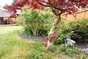 5036 Beach Way NE, Olympia, WA 98516 - Photo 13