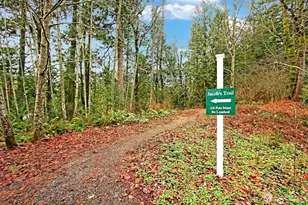 4406 Providence Point Pl SE, Issaquah, WA 98029 - Photo 29