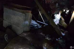 22014 130th St E, Bonney Lake, WA 98391 - Photo 15