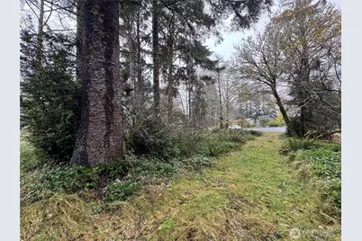 764 Tern Court, Ocean Shores, WA 98569 - Photo 5