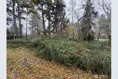 764 Tern Court, Ocean Shores, WA 98569 - Photo 3