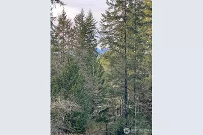 4731 E Rasor Road W, Belfair, WA 98528 - Photo 21