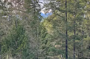 4731 E Rasor Road W, Belfair, WA 98528 - Photo 21