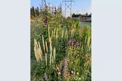 8017 64th Street SE, Snohomish, WA 98290 - Photo 39