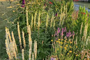 8017 64th St SE, Snohomish, WA 98290 - Photo 39