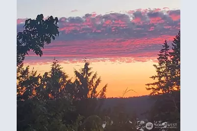 12408 58th Avenue, Gig Harbor, WA 98332 - Photo 39