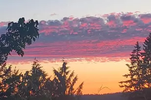 12408 58th Ave, Gig Harbor, WA 98332 - Photo 39