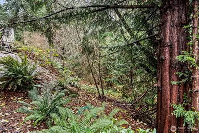 12408 58th Avenue, Gig Harbor, WA 98332 - Photo 31