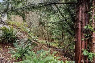 12408 58th Ave, Gig Harbor, WA 98332 - Photo 31