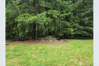 313 Minkler Road, Winlock, WA 98596 - Photo 31