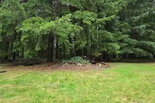 313 Minkler Rd, Winlock, WA 98596 - Photo 31